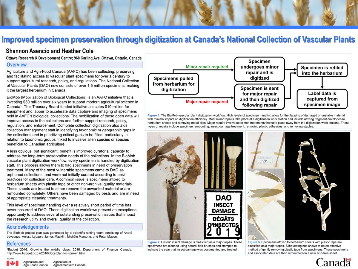 1199px-SPNHC_2019_Asencio_et_al_Final