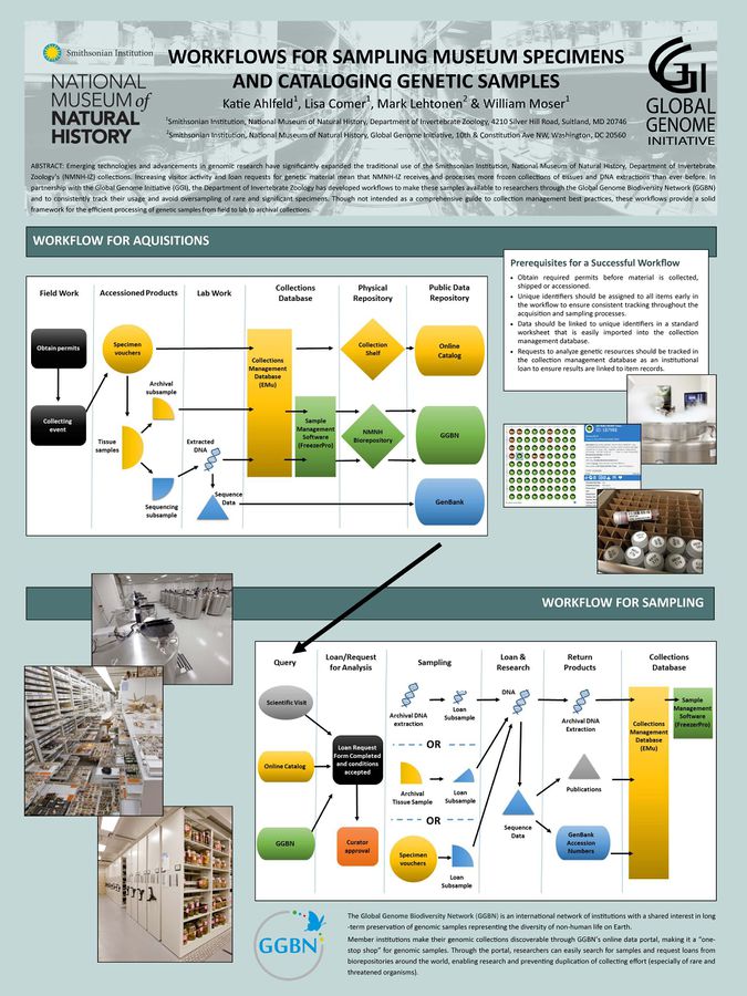 675px-Ahlfeld,_K.,_et_al.,_2019,_Workflows_for_Sampling_Museum_Specimens_and_Cataloging_Genetic_Samples