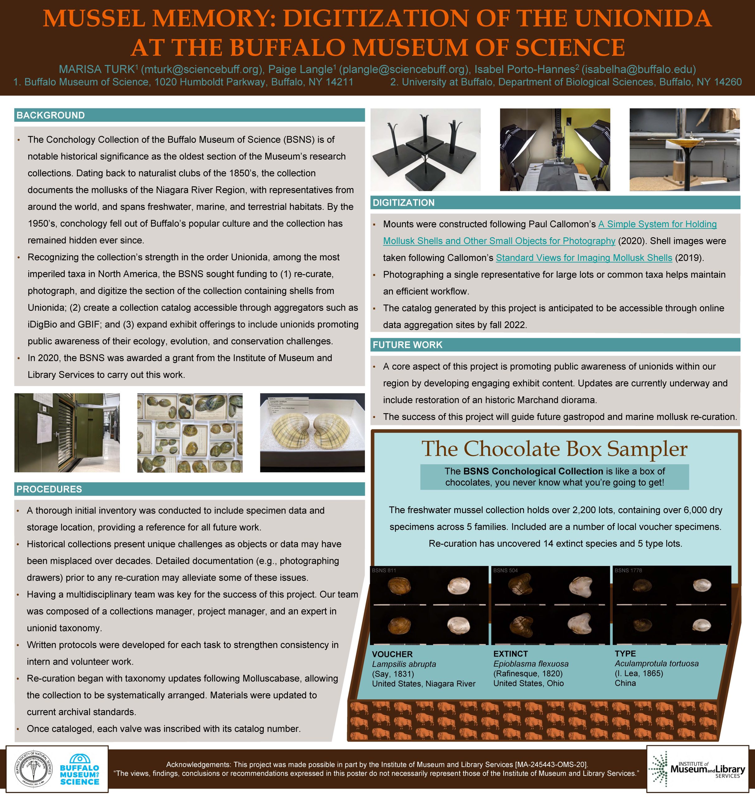 MUSSEL MEMORY poster
