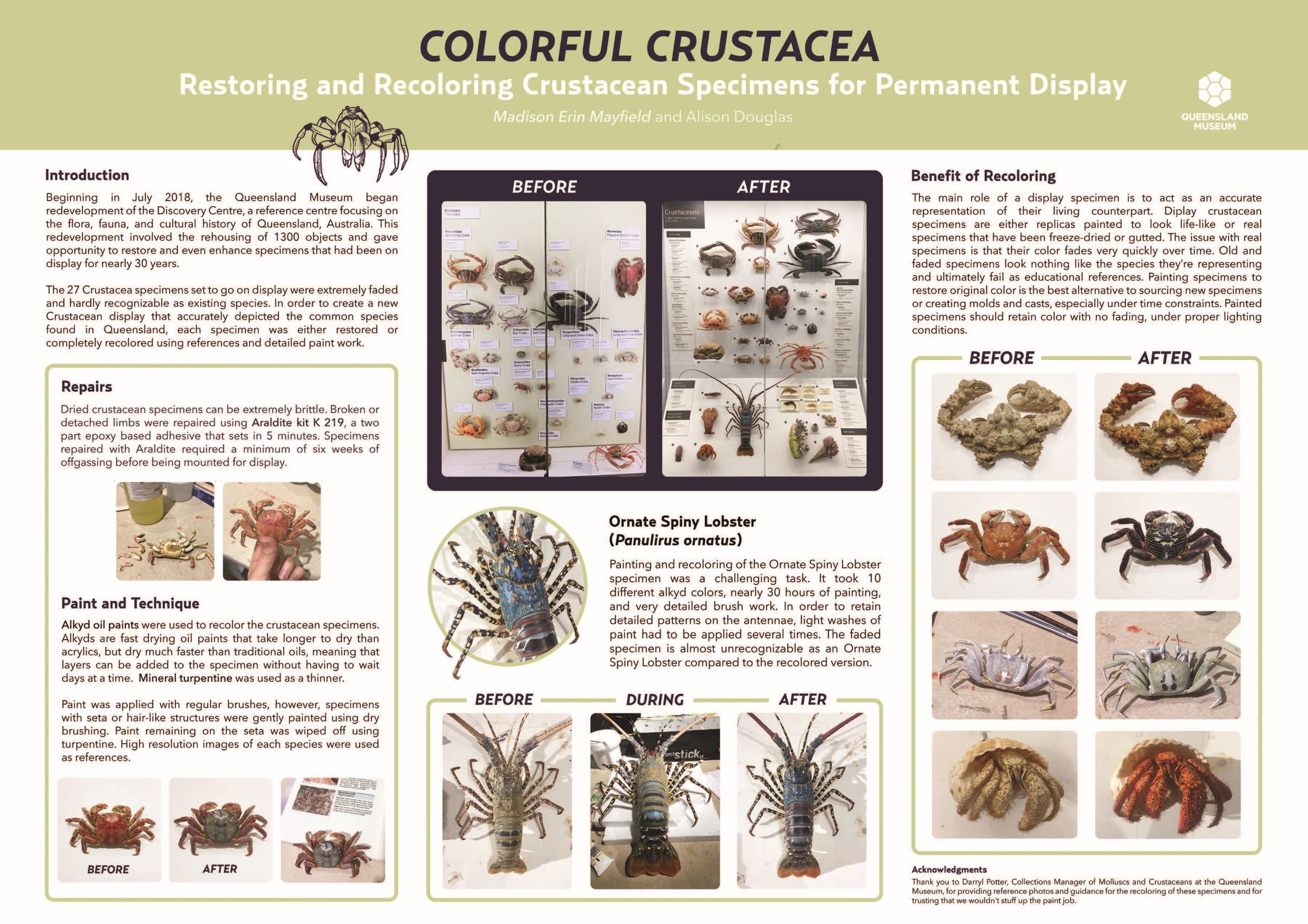 Madison Mayfield_SPNHC 2019 Poster